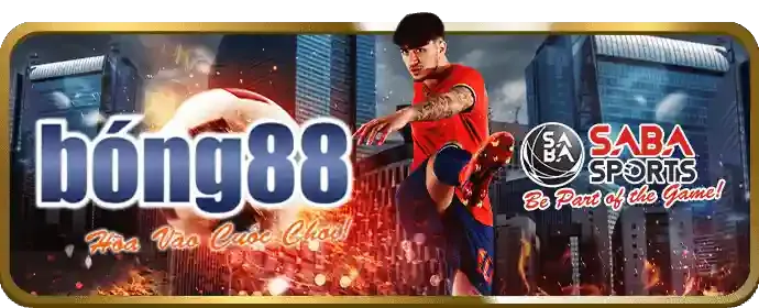 Khuyến mãi thể thao cho thành viên mới alo789